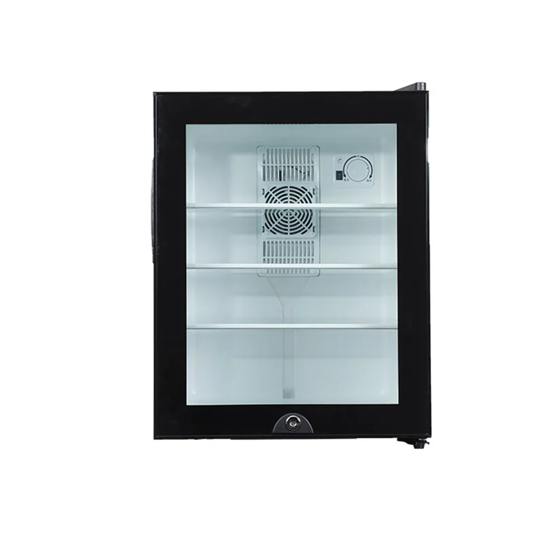 Wine Beer Mini Fridge - Mini Buzdolabı Soğutucu 40L Buzdolabı Bira