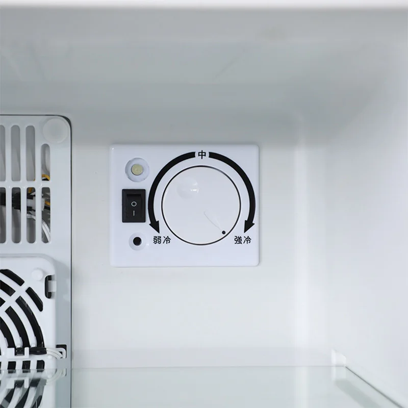 Mini Buzdolabı Soğutucu 40L Bu - Wine Beer Mini Fridge incelemesi ve fiyatı